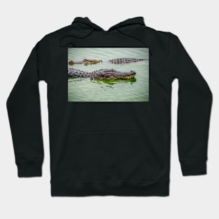 Alligators Hoodie